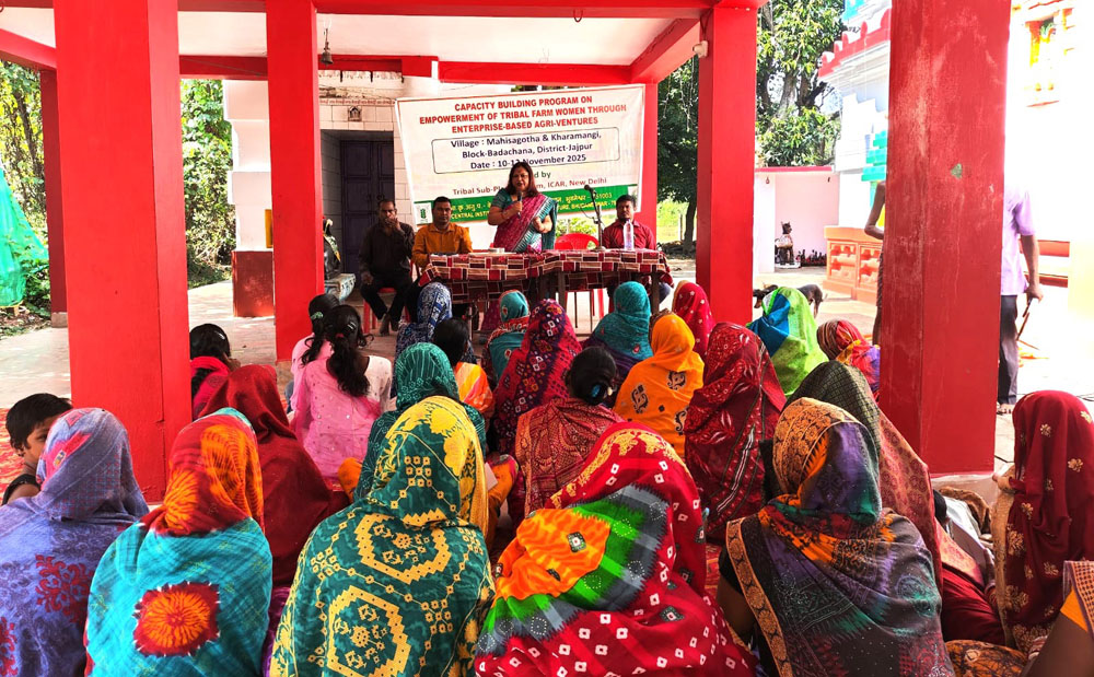 Image of Capacity Building Program on Empowerment of Tribal Women