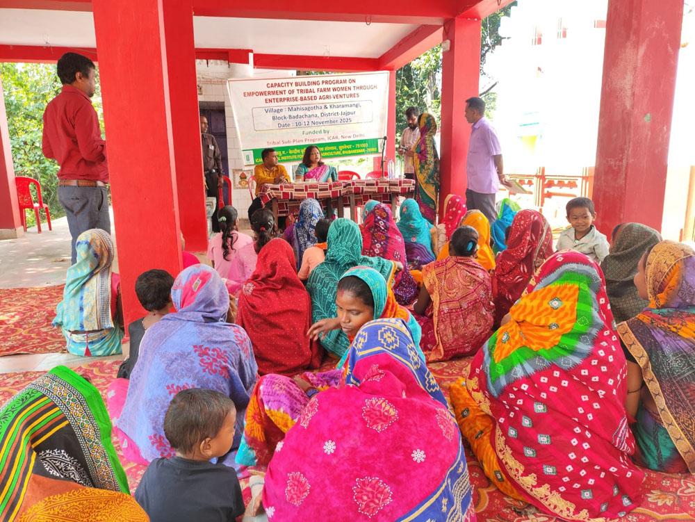 Image of Capacity Building Program on Empowerment of Tribal Women