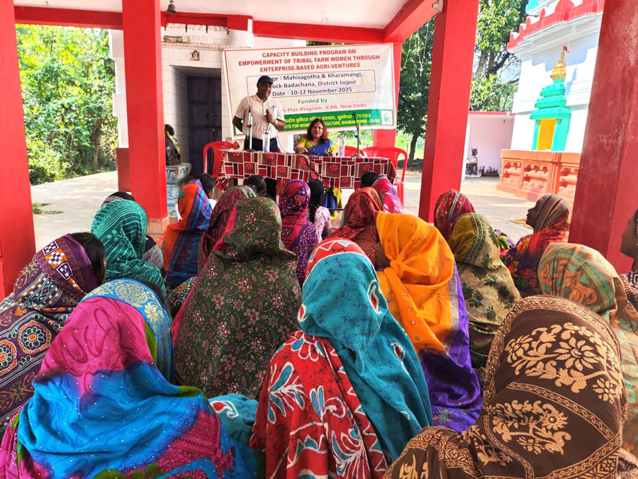 Image of Capacity Building Program on Empowerment of Tribal Women