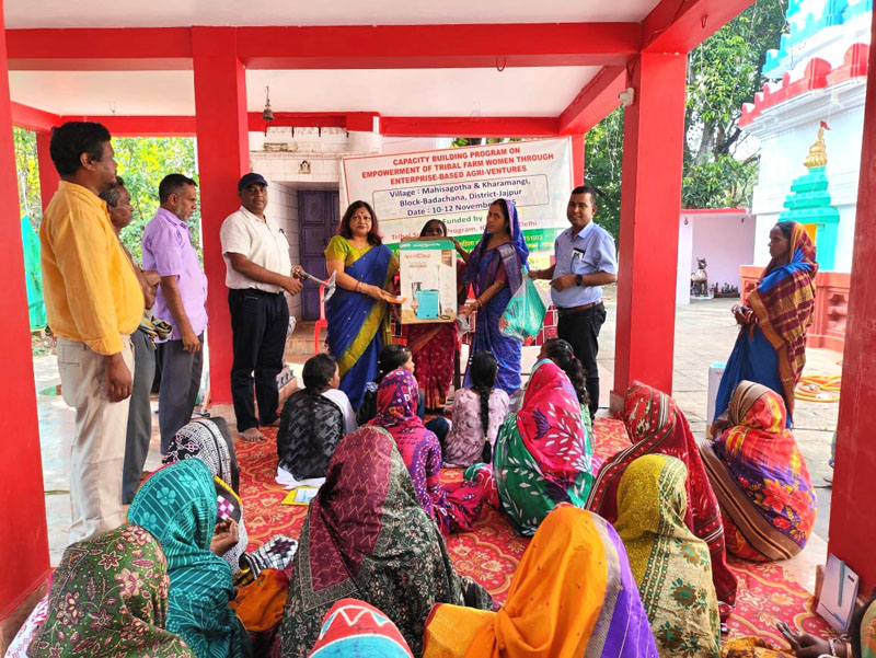 Image of Capacity Building Program on Empowerment of Tribal Women