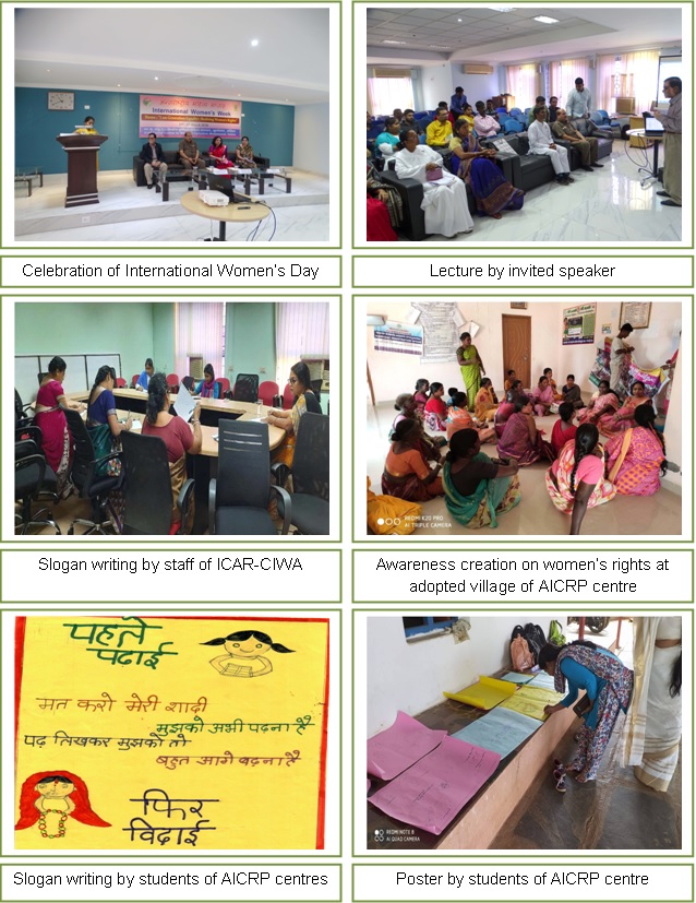 International Women's Week Image of International Women's Week