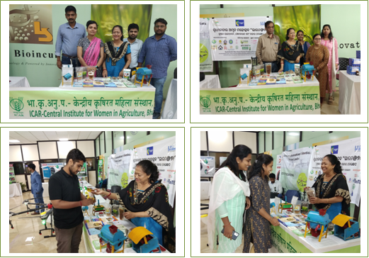 Occasion of I-Connect Event Image of occasion of I-connect event