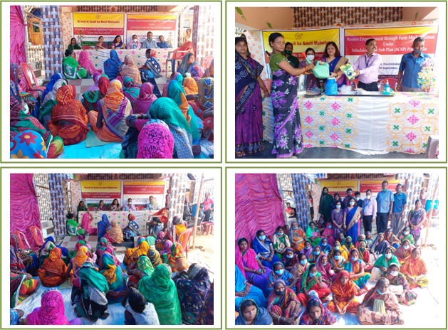 Farm Mechanization Programme Image of Farm Mechanization Programme