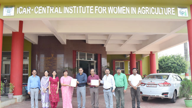 Women Friendly Multipurpose (IVNFS) Image of Women Friendly Multipurpose (IVNFS)