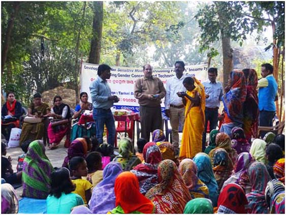Project for Doubling Farmers' Income 3 Image of Project for Doubling Farmers' Income 3