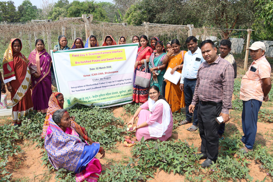 Image of Field Day-cum-Scientist-Farmers Interface on Bio-fortified Potato and Sweet Potato