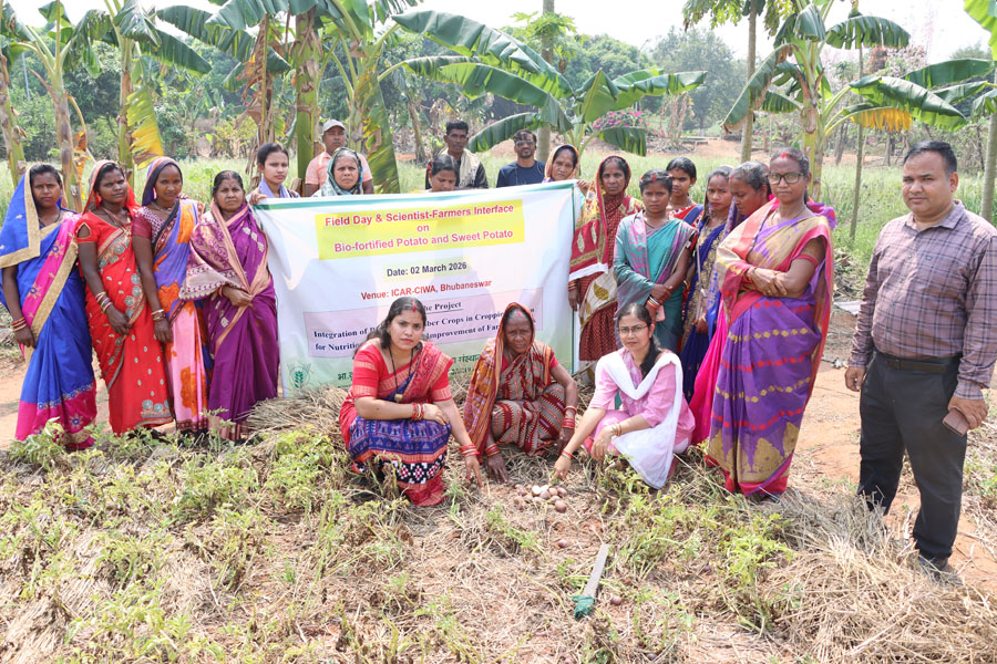 Image of Field Day-cum-Scientist-Farmers Interface on Bio-fortified Potato and Sweet Potato