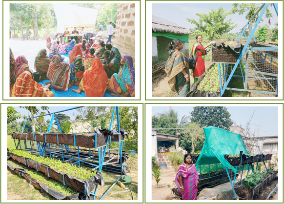 Gender Sensitive Integrated Vertical Nutri-farming System Image of Gender Sensitive Integrated Vertical Nutri-farming System