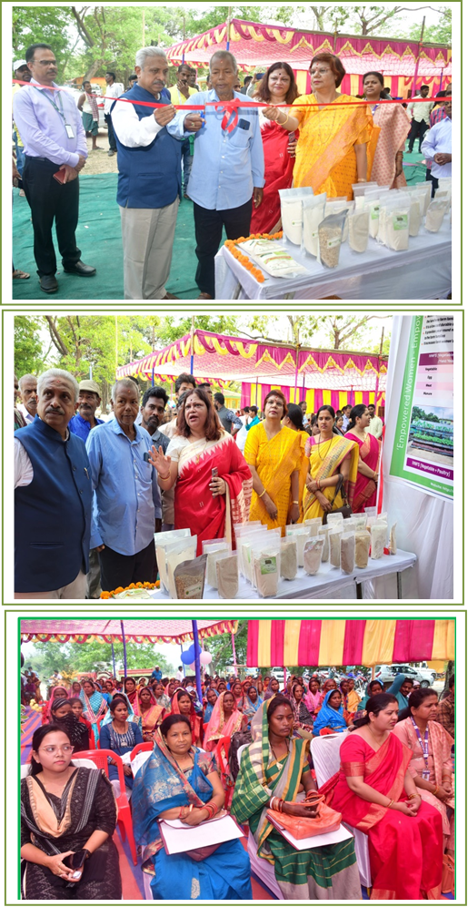Image of Krishi Mela-cum-Millet Exhibition at Srirampur