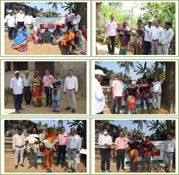 Training on Improved Goat Rearing for Livelihood Enhancement Image of Training on Improved Goat Rearing for Livelihood Enhancement