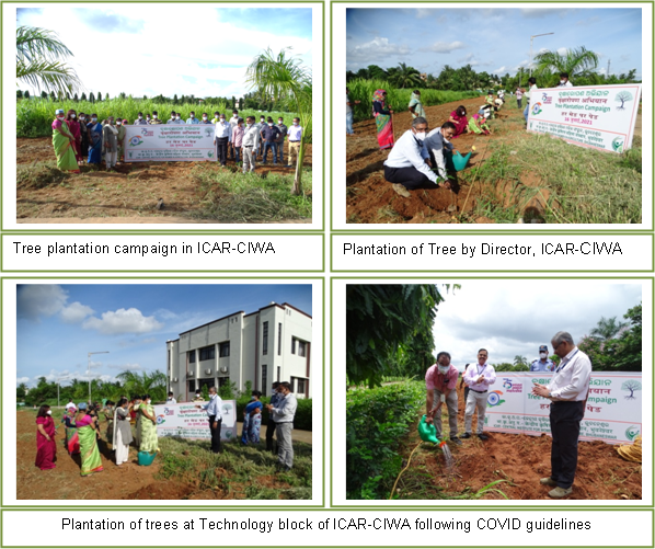 Tree Plantation Campaign Image of Tree Plantation Campaign
