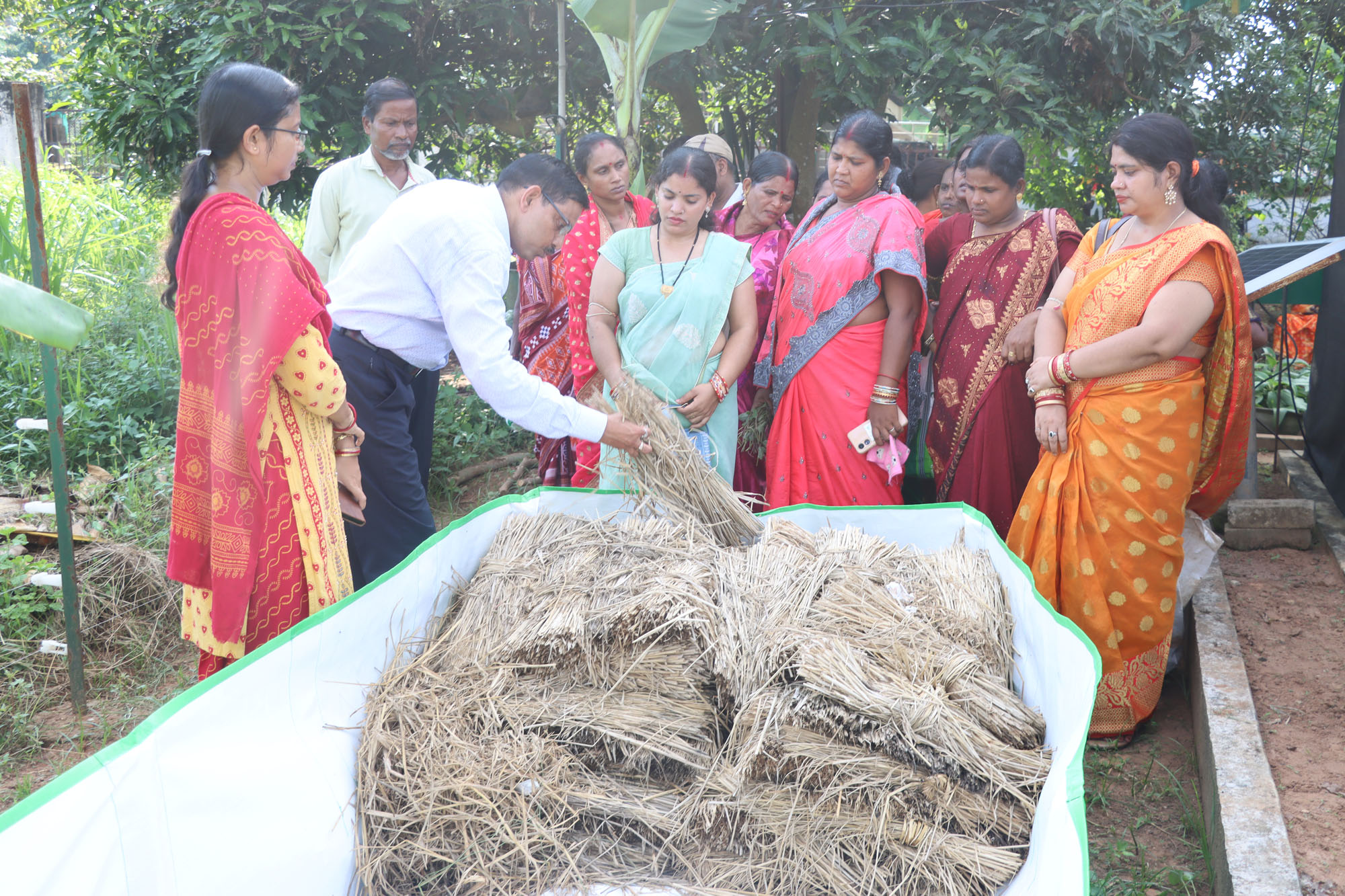 Image of Workshop on Bio-fortified Tuber Crops Integrated Cropping System