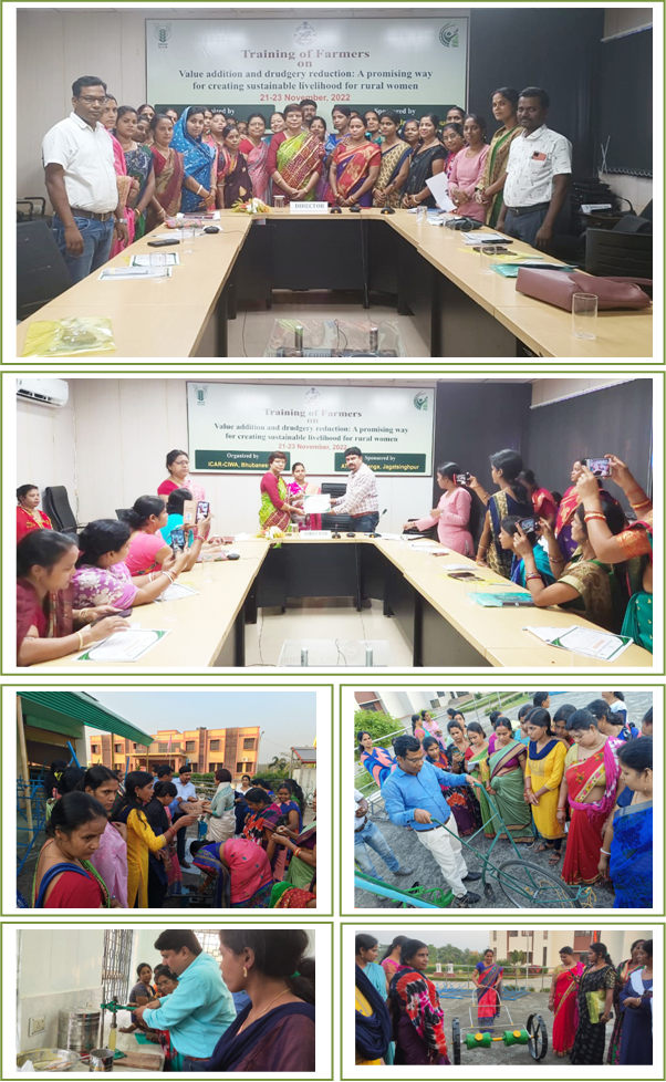Three days capacity building programme Image of Three days capacity building programme