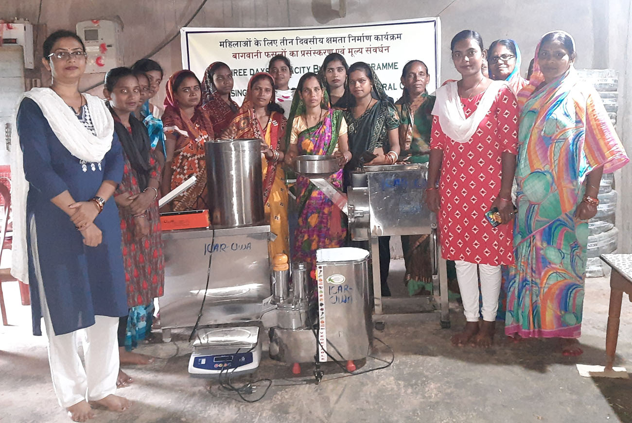 Image of Capacity Building Programme on Processing and Value Addition of Horticultural Crops