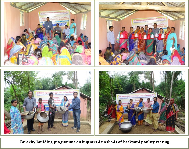 Entrepreneurship development Image of Entrepreneurship Development