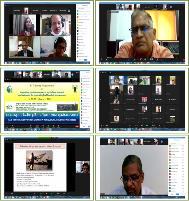 Collaborative Virtual Training Programme Image of Collaborative Virtual Training Programme