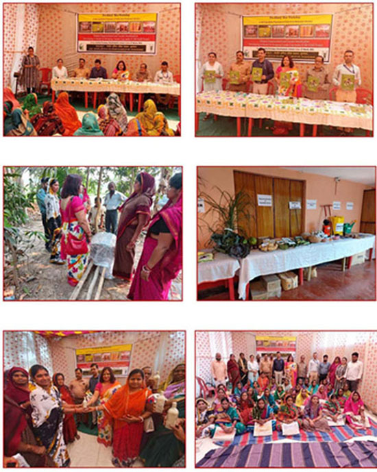 Pre-Kharif Rice Workshop Image of Pre-Kharif Rice Workshop
