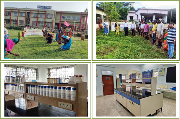 Special Campaign 2.0 for disposal of pending matters Image of Special Campaign 2.0 for disposal of pending matters