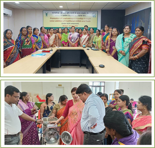 Promotion of rural entrepreneurship through value addition of traditional millets and fruits (1) Image of Promotion of rural entrepreneurship through value addition of traditional millets and fruits (1)
