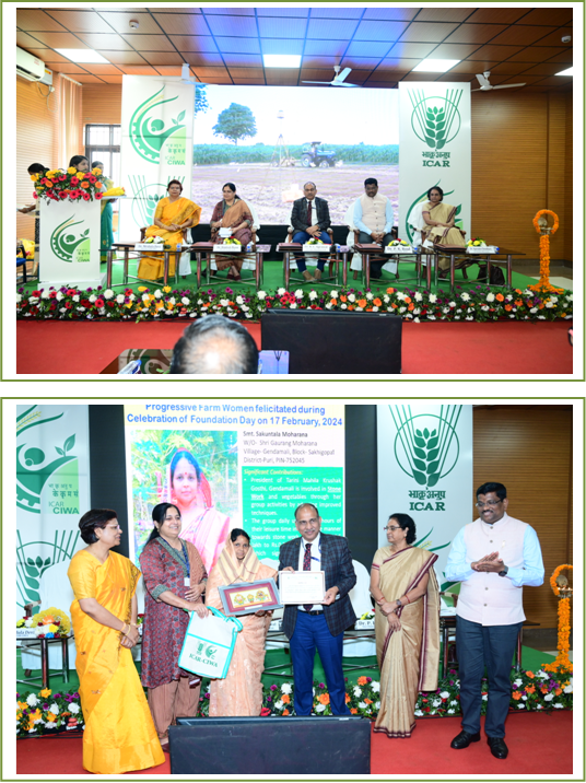 Celebration of 29th Foundation Day 2 Image of Celebration of 29th Foundation Day
