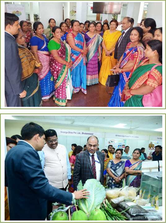 Celebration of 29th Foundation Day 3 Image of Celebration of 29th Foundation Day