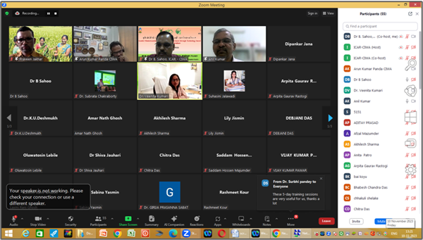 On-line Collaborative Training Programme 3 Image of On-line Collaborative Training Programme 3