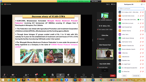On-line Collaborative Training Programme 4 Image of On-line Collaborative Training Programme 4