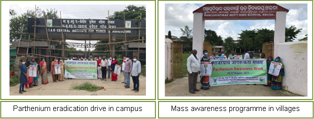 Parthenium Awareness Week Image of Parthenium Awareness Week