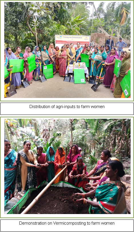 Celebration of World Soil Day 1 Image of Celebration of World Soil Day 1