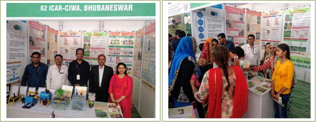 Pusa Krishi Vigyan Mela 2020 (1) Image of Pusa Krishi Vigyan Mela 2020 (1)