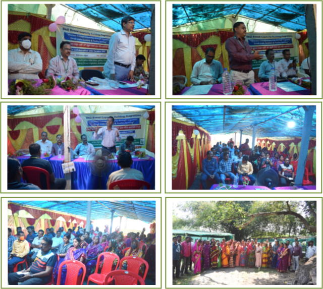 Skill Capacity building programme Image of Skill Capacity building programme