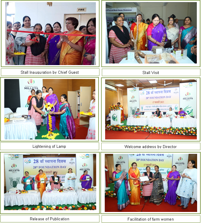 Celebration of 28th Foundation Day Image of Celebration of 28th Foundation Day
