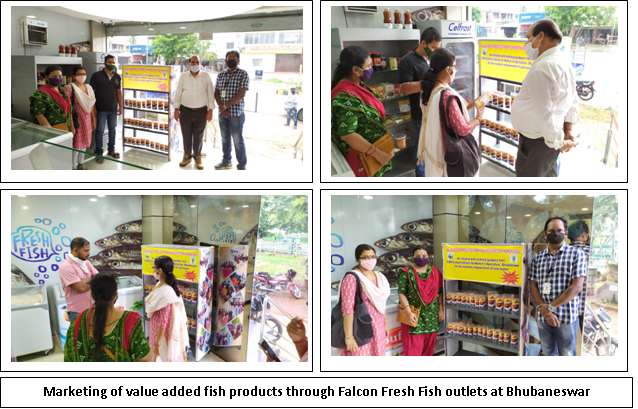 Linking of Value Added Fish Products Image of Linking of Value Added Fish Products