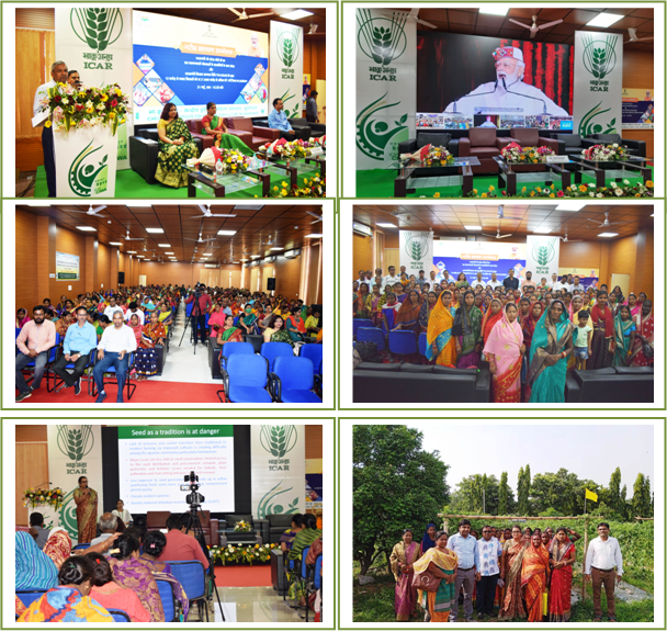 Nationwide Interaction Programme Image of Nationwide Interaction Programme