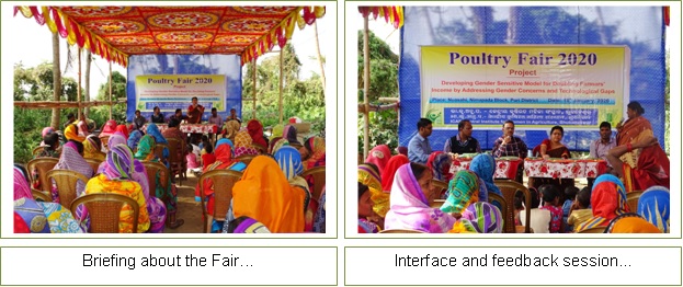 Poultry Fair 2020 (1) Image of Poultry Fair 2020 (1)