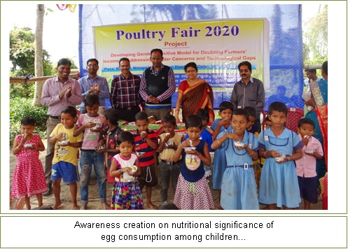 Poultry Fair 2020 (2) Image of Poultry Fair 2020 (2)