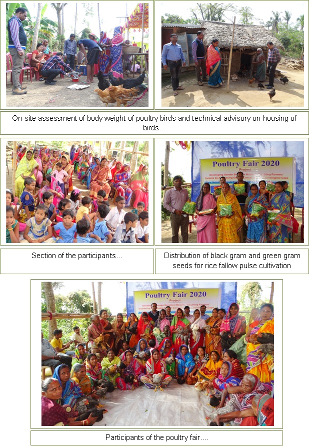 Poultry Fair 2020 (3) Image of Poultry Fair 2020 (3)