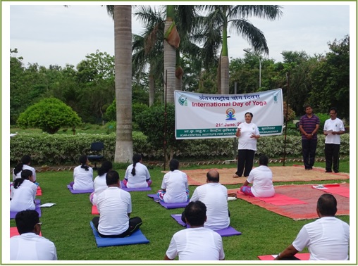 International Day of Yoga 1 Image of International Day of Yoga 1