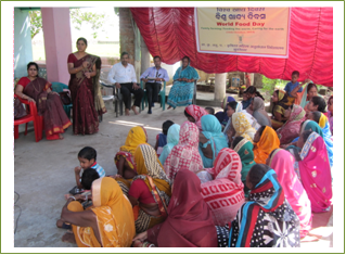 World Food Day 2014 (2) Image of World Food Day 2014 (2)