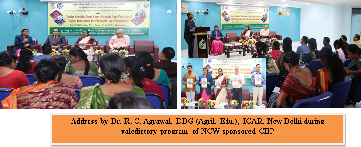 Capacity Building Program
