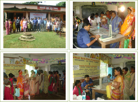 Nutrition Week Image of Nutrition Week
