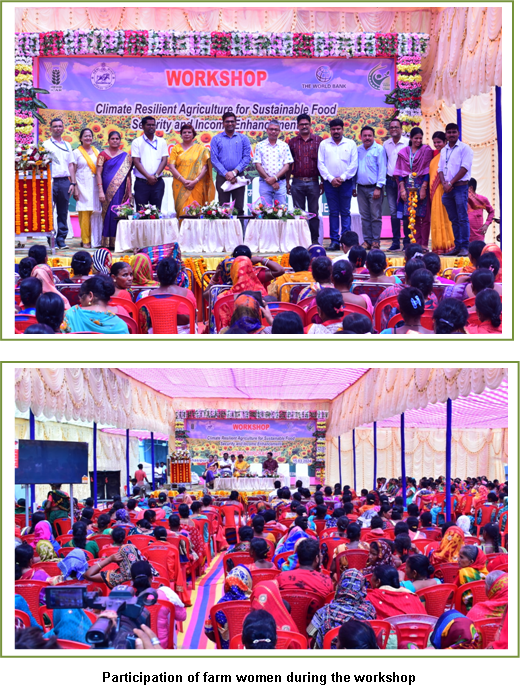 Image of Workshop on Climate Resilient Agriculture in Keonjhar