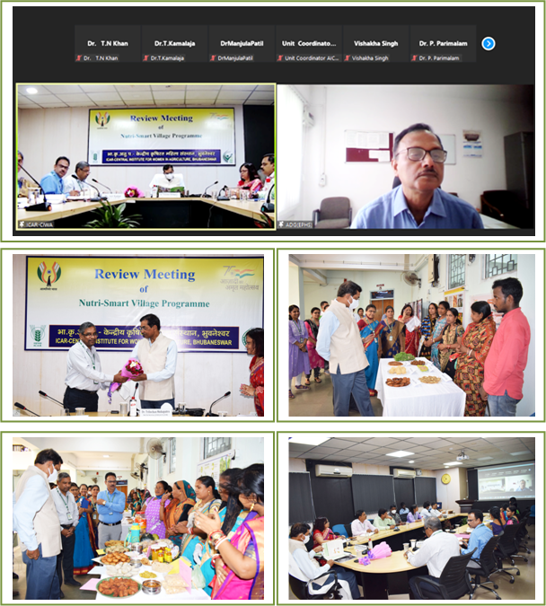 Nutri-Smart Village Programme Image of Nutri-Smart Village Programme