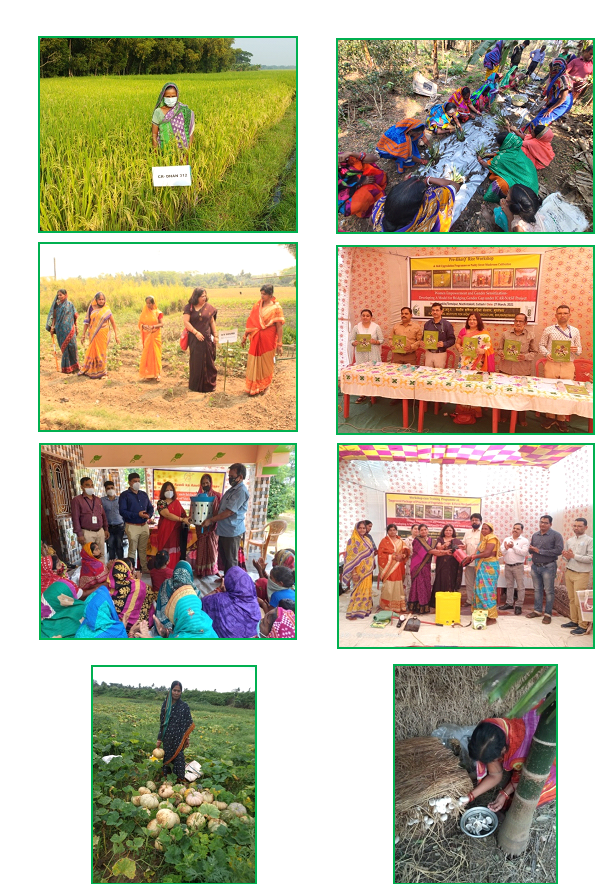 Women Empowerment and Gender Sensitization Image of Women Empowerment and Gender Sensitization