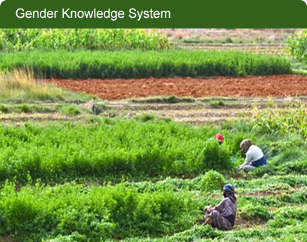Gender knowledge system